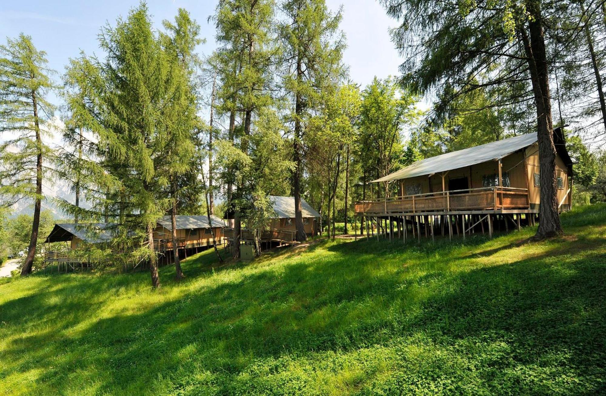 Ferienparadies Natterer See Neu Gotzens Номер фото